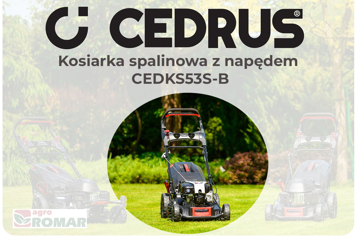 Kosiarka spalinowa Cedrus KS53S-B